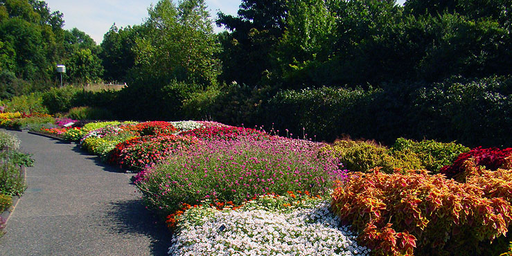 Image Alt Text