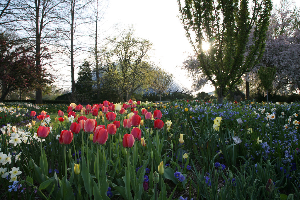 Heckman Bulb Garden