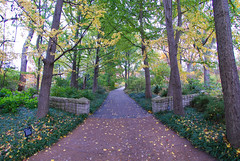 Pathway