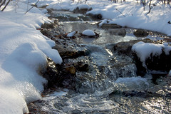 Snowy stream