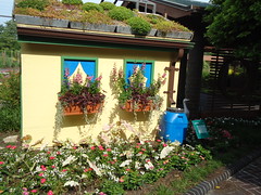 Kemper Children's Garden