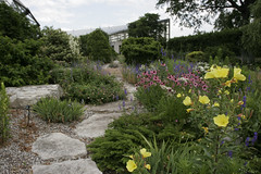 Heckman Rock Garden