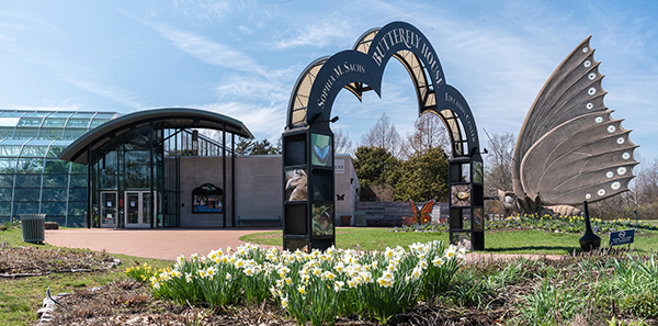 Entry arch