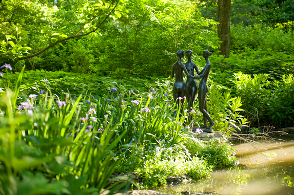 English Woodland Garden