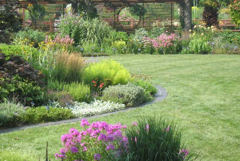 Flowers with grass in the foreground