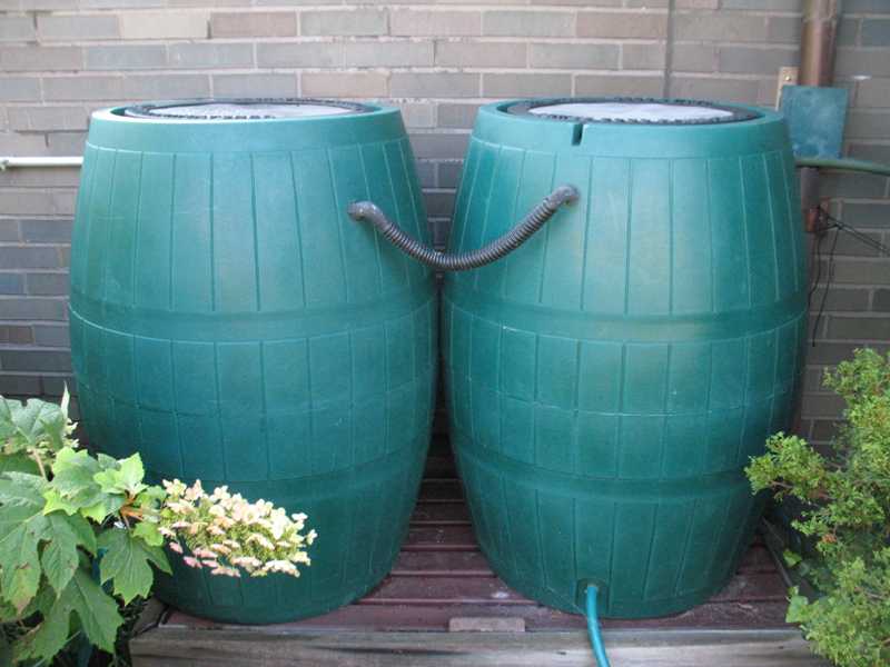 Rain barrel