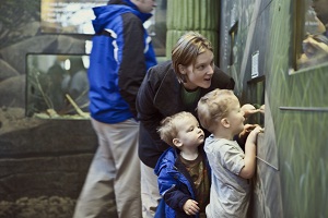 Visitors